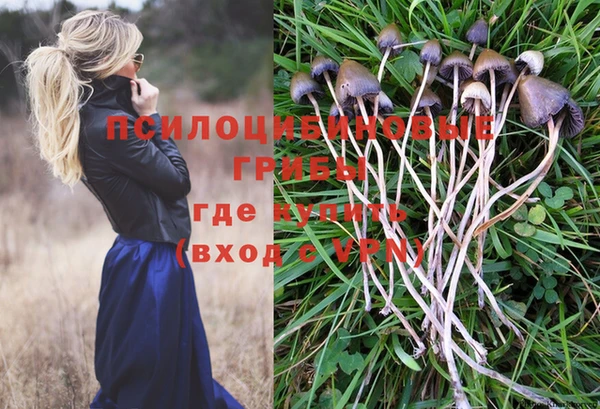 марихуана Белокуриха