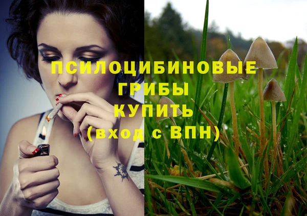 марихуана Белокуриха