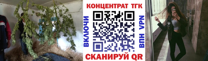 купить наркотики цена  сайты даркнета телеграм  Дистиллят ТГК THC oil  Няндома 