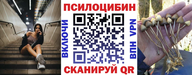 Галлюциногенные грибы ЛСД  Няндома 
